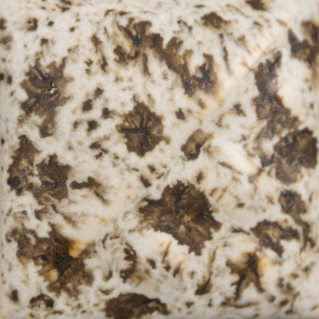 Mayco Stoneware SW-155 Winter Wood