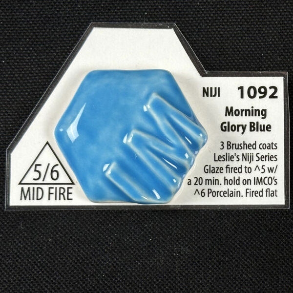 Leslie's 1092P Niji Morning Glory