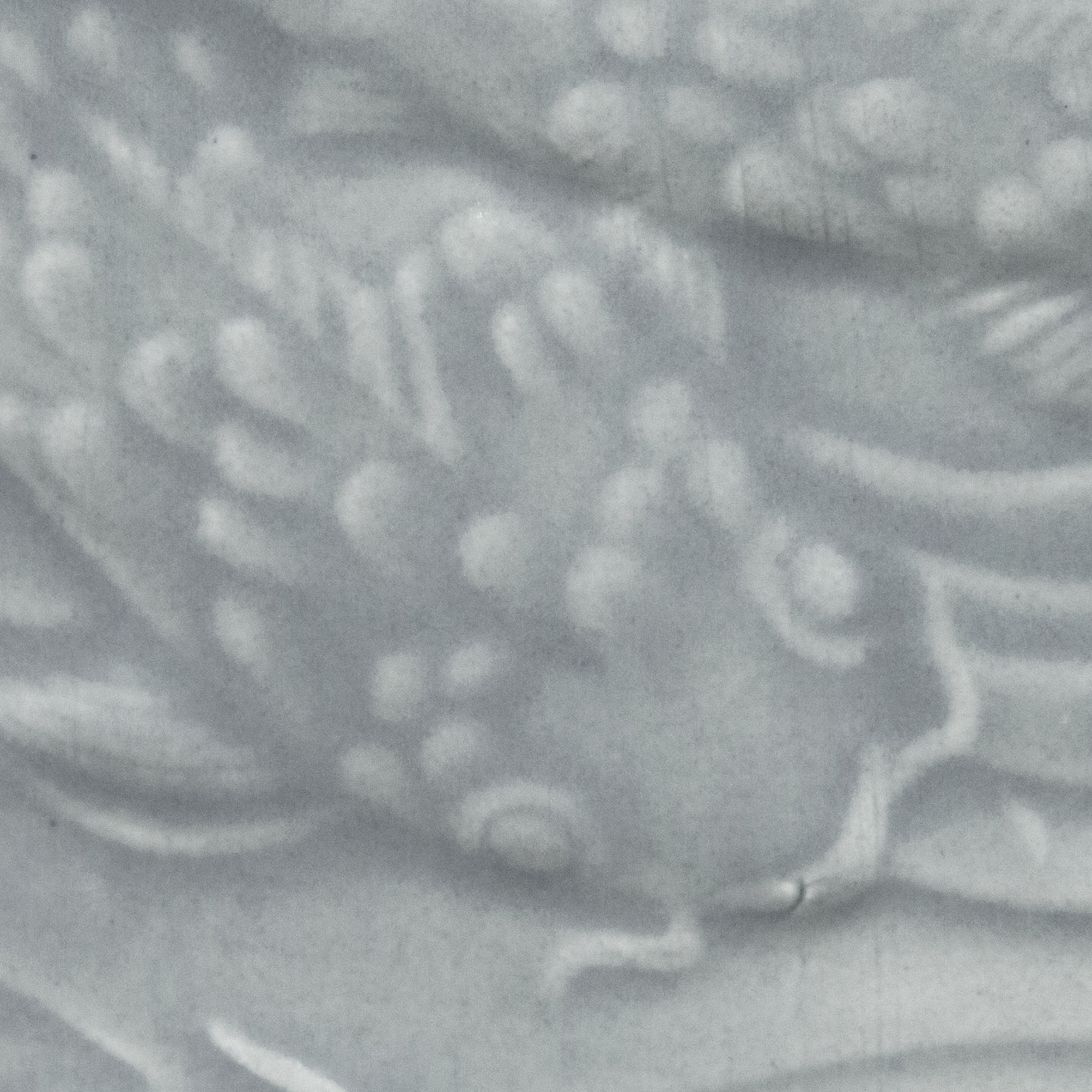 Amaco LG-14 Gray
