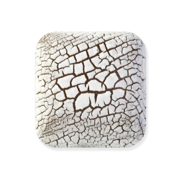 Laguna Dry Lake DL100 Fossil White (Pint)
