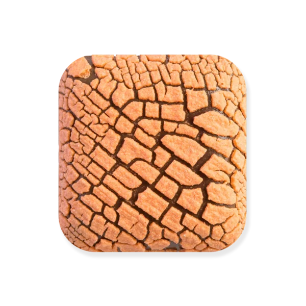 Laguna Dry Lake DL109 Hoo Doo Orange (Pint)
