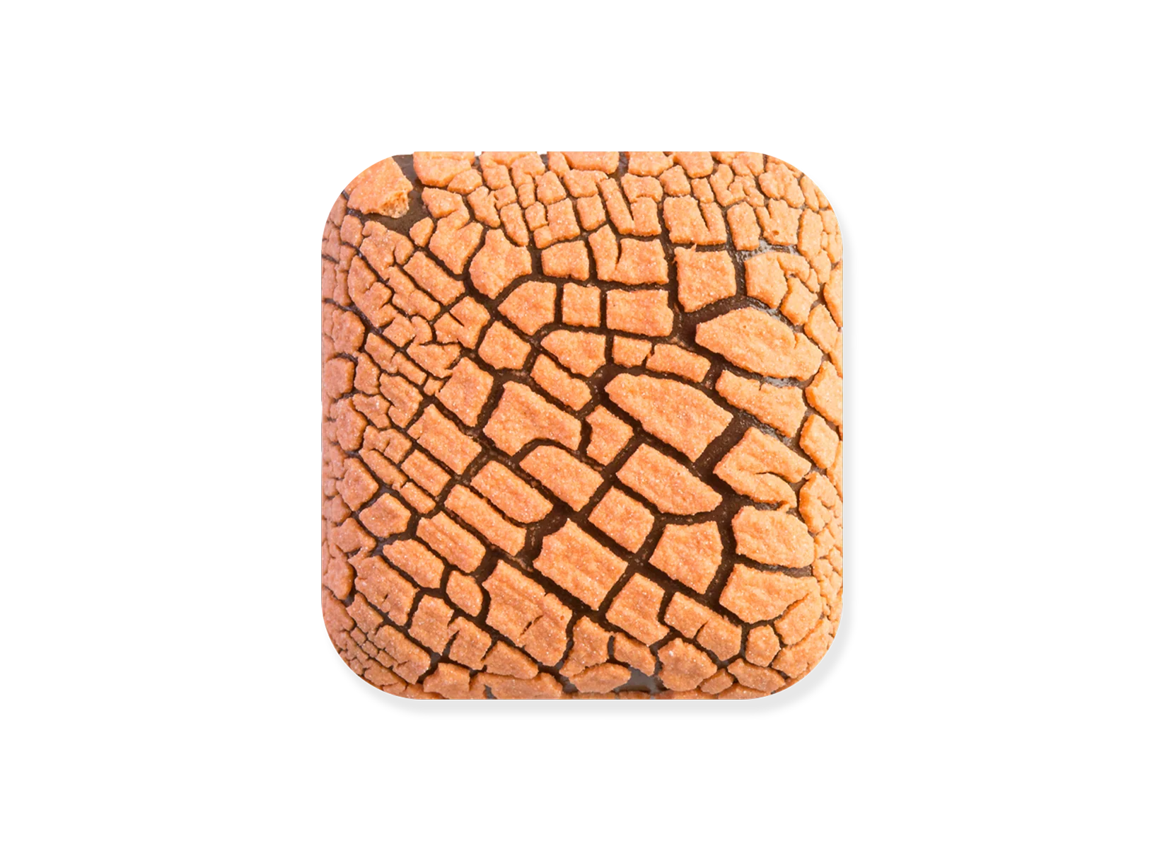 Laguna Dry Lake DL109 Hoo Doo Orange (Pint)