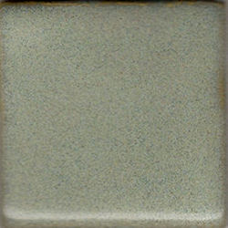 Coyote Enduro-Color MBG181 Cool Artichoke - Enduro (Pint)