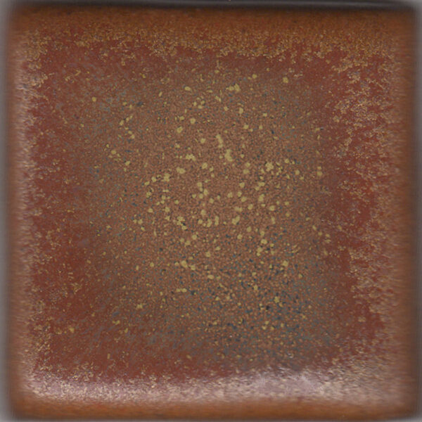 Coyote Constellation MBG170 Autumn Spice (Pint)