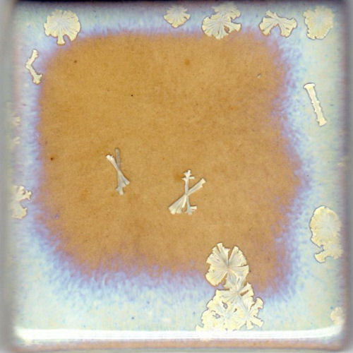 Coyote Crystalline Slow-Cool  MBG164 Crystal Nebula (Pint)