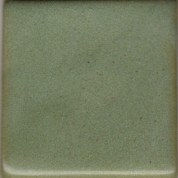 Coyote Enduro-Color MBG183 Deep Avocado - Enduro (Pint)