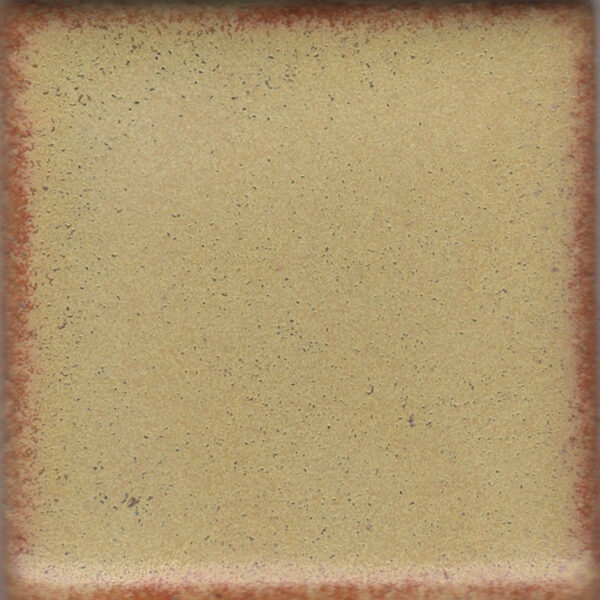 Coyote Constellation MBG172 Light Gold (Pint)