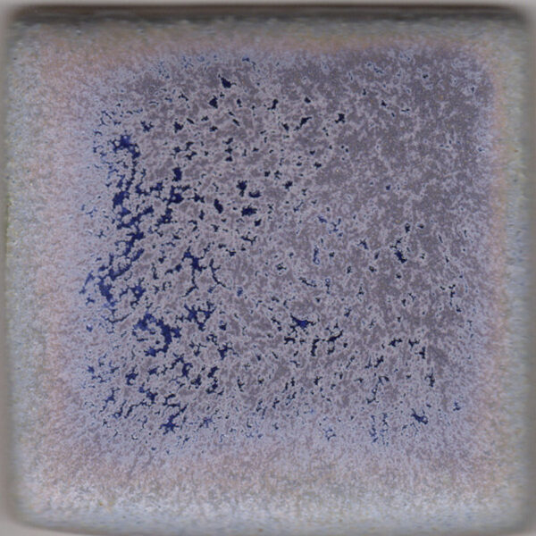 Coyote Archie's MBG028 Blue Purple (Pint)