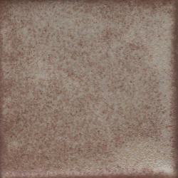 Coyote Shino MBG094 Sandstone Shino (Pint)