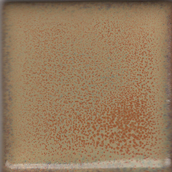 Coyote Constellation MBG173 Summer Spice (Pint)