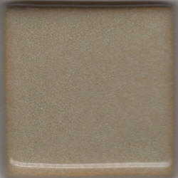 Coyote Texas Two-Step Oilspot MBG151 Birch (Pint)