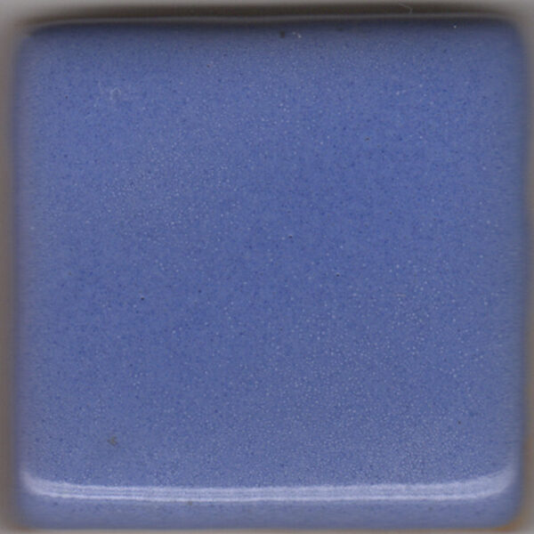 Coyote Texas Two Step MBG150 Blue Moon (Pint)