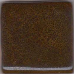 Coyote Texas Two-Step Oilspot MBG141 Coffee Bean (Pint)