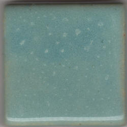 Coyote Texas Two-Step Oilspot MBG154 Sea Mist (Pint)