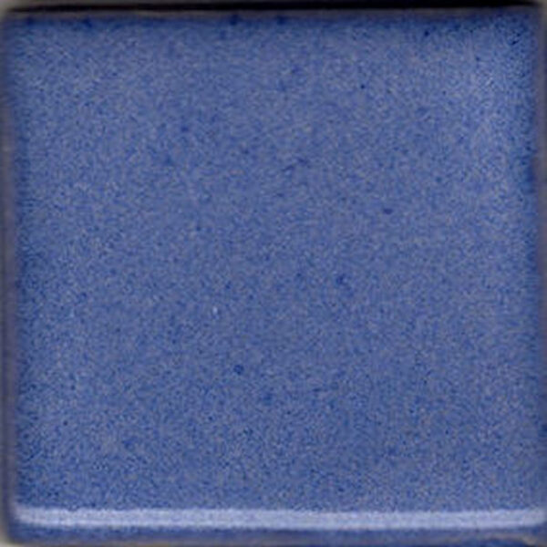 Coyote Enduro-Color MBG191 Blue Cornflower - Enduro (Pint)