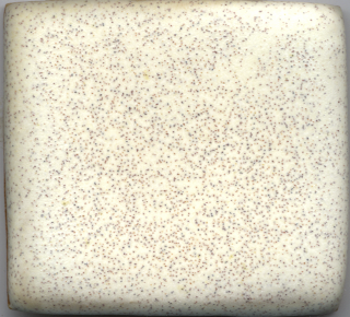 Coyote Matt & Crawl MBG030 Creamy w/ Specks (Pint)