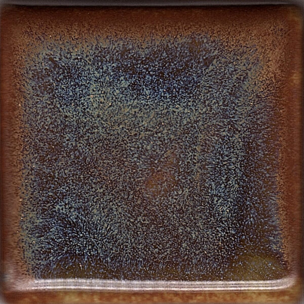 Coyote Constellation MBG178 Gemini (Pint)