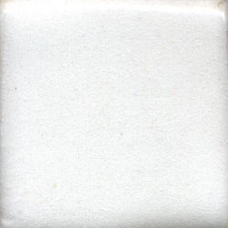 Coyote Gloss Glaze MBG023 White (Pint)
